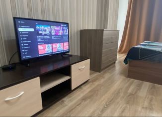Сдается 1-комнатная квартира, 41.3 м2, Екатеринбург, улица Циолковского, 29, ЖК Времена Года