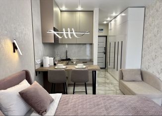 Аренда квартиры студии, 24 м2, Сочи, Ясногорская улица, 16/2к6, микрорайон Бытха