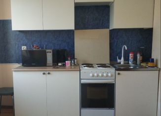 Аренда однокомнатной квартиры, 38 м2, Санкт-Петербург, Петергофское шоссе, 84к4, Красносельский район