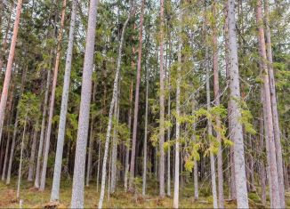 Продаю участок, 14 сот., Питкяранта, Боровой переулок