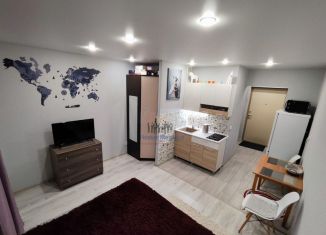 Продажа квартиры студии, 26 м2, Санкт-Петербург, Полевая Сабировская улица, 45к1, муниципальный округ Озеро Долгое