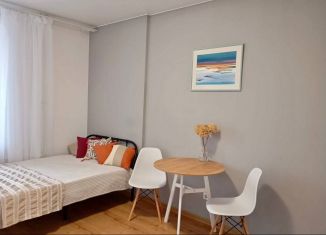 Аренда квартиры студии, 25 м2, Санкт-Петербург, бульвар Александра Грина, 3, Василеостровский район