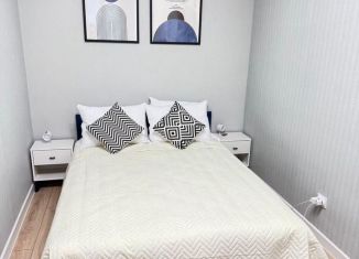 Сдаю однокомнатную квартиру, 40 м2, Мурино, бульвар Менделеева, 11к4, ЖК Юпитер