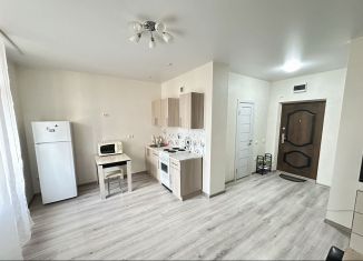 Сдается в аренду квартира студия, 35 м2, Краснодар, Боспорская улица, 2, Прикубанский округ