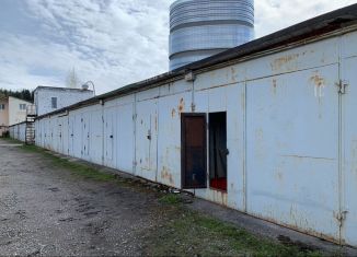 Продам гараж, 20 м2, Санкт-Петербург, муниципальный округ Коломяги