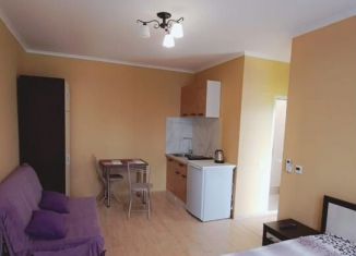 Квартира в аренду студия, 28 м2, Сочи, улица Декабристов, 167/30