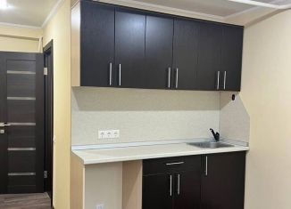 Продам 1-комнатную квартиру, 28.1 м2, Краснодар, улица Ленина, 71, микрорайон Центральный