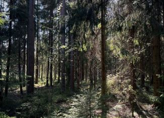 Продам земельный участок, 116 сот., посёлок Репино, Луговая улица, 4к2