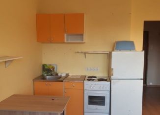 Аренда квартиры студии, 25 м2, Новосибирск, Приморская улица, 24, метро Площадь Маркса