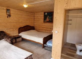 Сдается дом, 18 м2, посёлок Турбаза Юность, улица Шишкова, 6