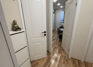 Продается 1-комнатная квартира, 36.6 м2, посёлок Шушары, Старорусский проспект, 13к1, ЖК Ол Инклюзив