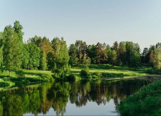 Земельный участок на продажу, 20.6 сот., Павловск, Берёзовая улица