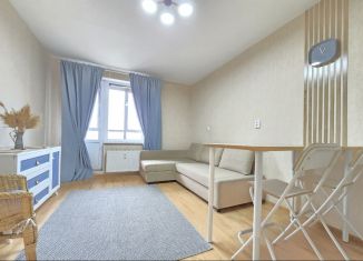 Аренда квартиры студии, 23.2 м2, Мурино, проспект Авиаторов Балтики, 9к2, ЖК Виктория