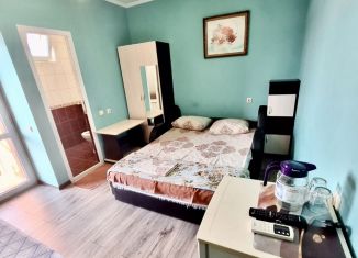 Сдам в аренду квартиру студию, 20 м2, Сочи, Насыпная улица, 63, микрорайон Черемушки