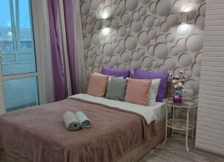 Квартира в аренду студия, 32 м2, Республика Башкортостан, Кремлёвская улица, 66