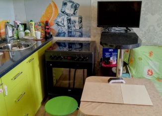 Сдам квартиру студию, 26 м2, деревня Пирогово, улица Ильинского, 5