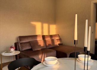 Сдам в аренду 1-комнатную квартиру, 40 м2, Сочи, Православная улица, 14, микрорайон Энергетик-Изумруд