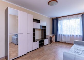 Продается 1-комнатная квартира, 30.6 м2, Санкт-Петербург, Дачный проспект, 7к1, муниципальный округ Дачное