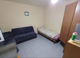 Сдается в аренду квартира студия, 18 м2, Сочи, улица Кошевого, 3, микрорайон Соболевка