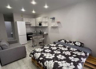 Сдам в аренду квартиру студию, 38 м2, Новосибирская область, улица Забалуева