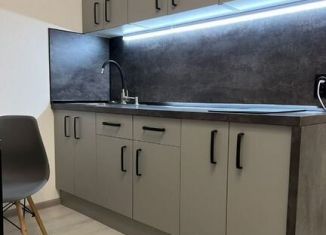 Квартира в аренду студия, 25.8 м2, Санкт-Петербург, улица Владимира Пчелинцева, 5, Красносельский район