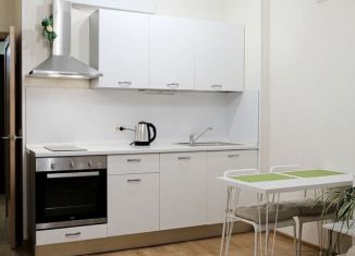 Продаю квартиру студию, 25.1 м2, Санкт-Петербург, муниципальный округ Пискарёвка, Лабораторный проспект, 20к3
