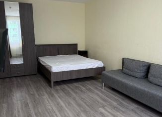 Сдам 1-ком. квартиру, 40 м2, село Раздольное, Тепличная улица, 63к2