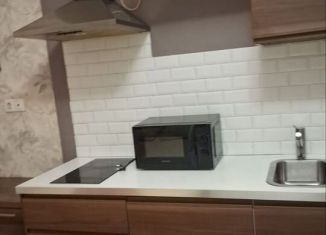 Аренда комнаты, 20 м2, Санкт-Петербург, Херсонская улица, 21, Центральный район