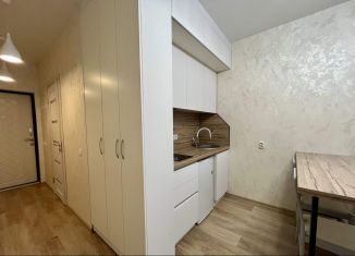 Продаю квартиру студию, 23 м2, Новороссийск, улица Красина, 53к5, ЖК Красина