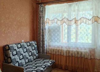 Сдается 1-ком. квартира, 27.5 м2, Санкт-Петербург, улица Добровольцев, 50, муниципальный округ Урицк