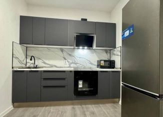 Аренда 2-комнатной квартиры, 56 м2, посёлок Парголово, Михайловская дорога