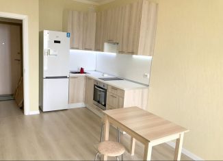 Однокомнатная квартира на продажу, 36.5 м2, Санкт-Петербург, проспект Маршала Блюхера, 6к2, Калининский район