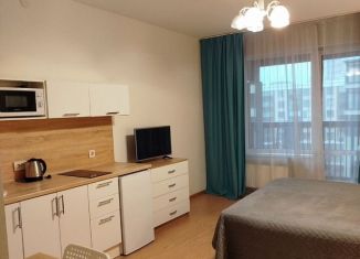 Квартира в аренду студия, 30 м2, Санкт-Петербург, 5-й Предпортовый проезд, 2, 5-й Предпортовый проезд