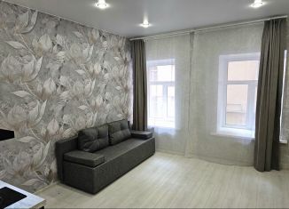 Квартира на продажу студия, 22 м2, Санкт-Петербург, Вёсельная улица, 2, метро Василеостровская