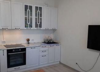 Продам квартиру студию, 25 м2, Санкт-Петербург, муниципальный округ Коломяги, Арцеуловская аллея, 21