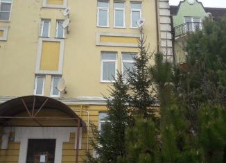 2-ком. квартира на продажу, 63.6 м2, деревня Гаврилково, улица 3-й Квартал, 2, ЖК Эдем