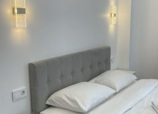 Сдаю в аренду квартиру студию, 25 м2, Сочи, улица Пирогова, 26Б/1, микрорайон Новый Сочи