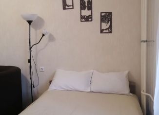 Сдача в аренду 2-ком. квартиры, 40 м2, Санкт-Петербург, Пулковское шоссе, 14Е, муниципальный округ Звёздное