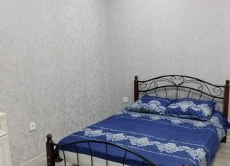 Сдаю квартиру студию, 30 м2, Сириус, Камышовая улица, 39