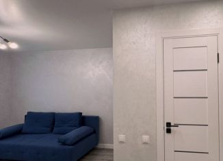Продаю квартиру студию, 14.7 м2, Москва, 1-й Кожуховский проезд, 9, метро Технопарк
