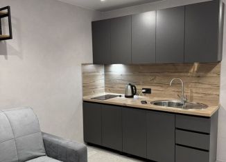 Сдаю квартиру студию, 20 м2, Сочи, улица Гастелло, 34, микрорайон Голубые Дали