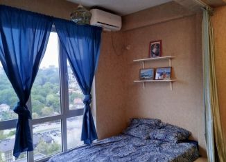 Аренда квартиры студии, 43 м2, Сочи, улица Метелёва, 23