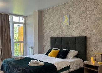 Сдам квартиру студию, 46 м2, Сочи, Вишнёвая улица, 36/1, микрорайон Заречный