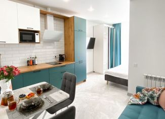 Сдаю квартиру студию, 30 м2, Сочи, переулок Трунова, 6к6, микрорайон Завокзальный