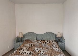 1-ком. квартира в аренду, 45 м2, Сочи, улица Надежды, 9, микрорайон Энергетик-Изумруд