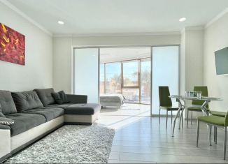 Сдается 1-ком. квартира, 50 м2, Сочи, Несебрская улица, 14, микрорайон Центральный