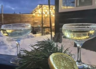 Сдается в аренду дом, 80 м2, Республика Башкортостан, улица Булашева, 29