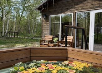 Аренда дома, 35 м2, Липецкая область