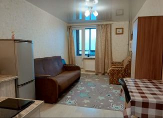 Квартира в аренду студия, 24 м2, Сертолово, Центральная улица, 14к4