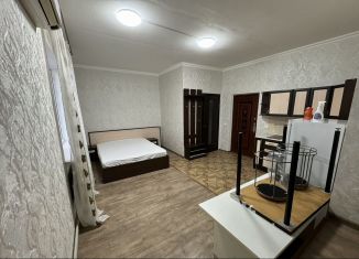 Сдается квартира студия, 25 м2, Краснодар, Пригородная улица, 55А, Прикубанский округ
